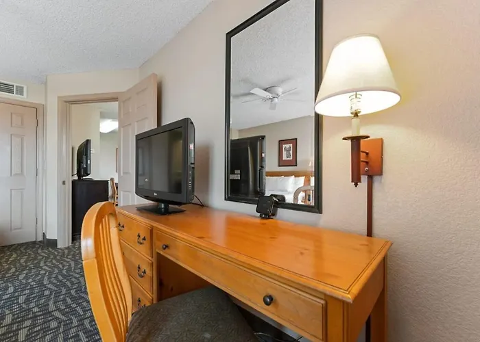 2 Bd 2 Ba Furnished 4 Full Beds Apartment